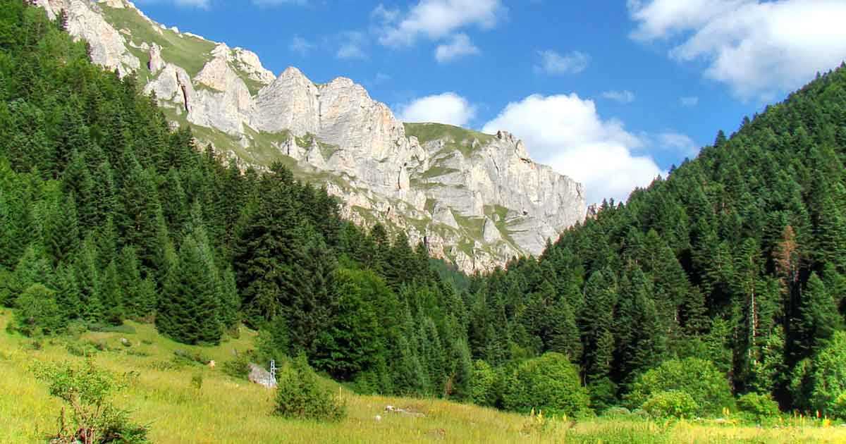 asd