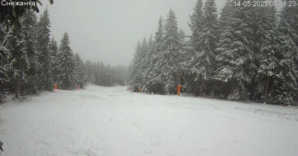 snezhanka bugarija rodopi